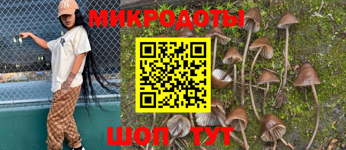 Галлюциногенные грибы Psilocybine cubensis  цена   Котовск  Вход с VPN 